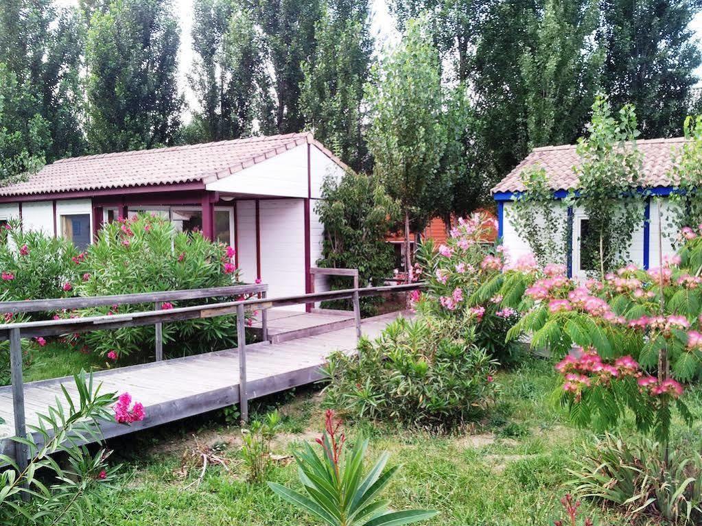 Bungalows & Rooms - Git'Ostal 卡尔卡松 外观 照片