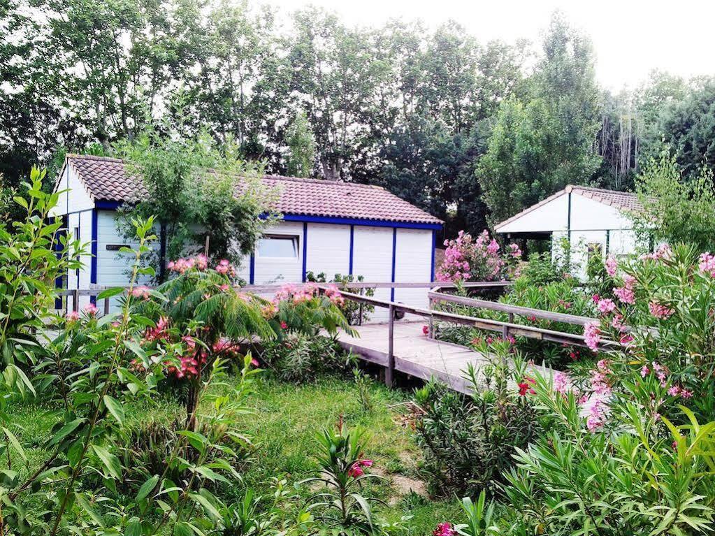 Bungalows & Rooms - Git'Ostal 卡尔卡松 外观 照片
